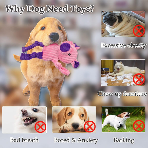 LECHONG 5 Pack Tough Dog Toys Stuffed Squeaky Dog Toys Assortment Plush Animal Dog Toy Value Bundle Puppy Pet Dog Toys for Small Medium Large Dogs4