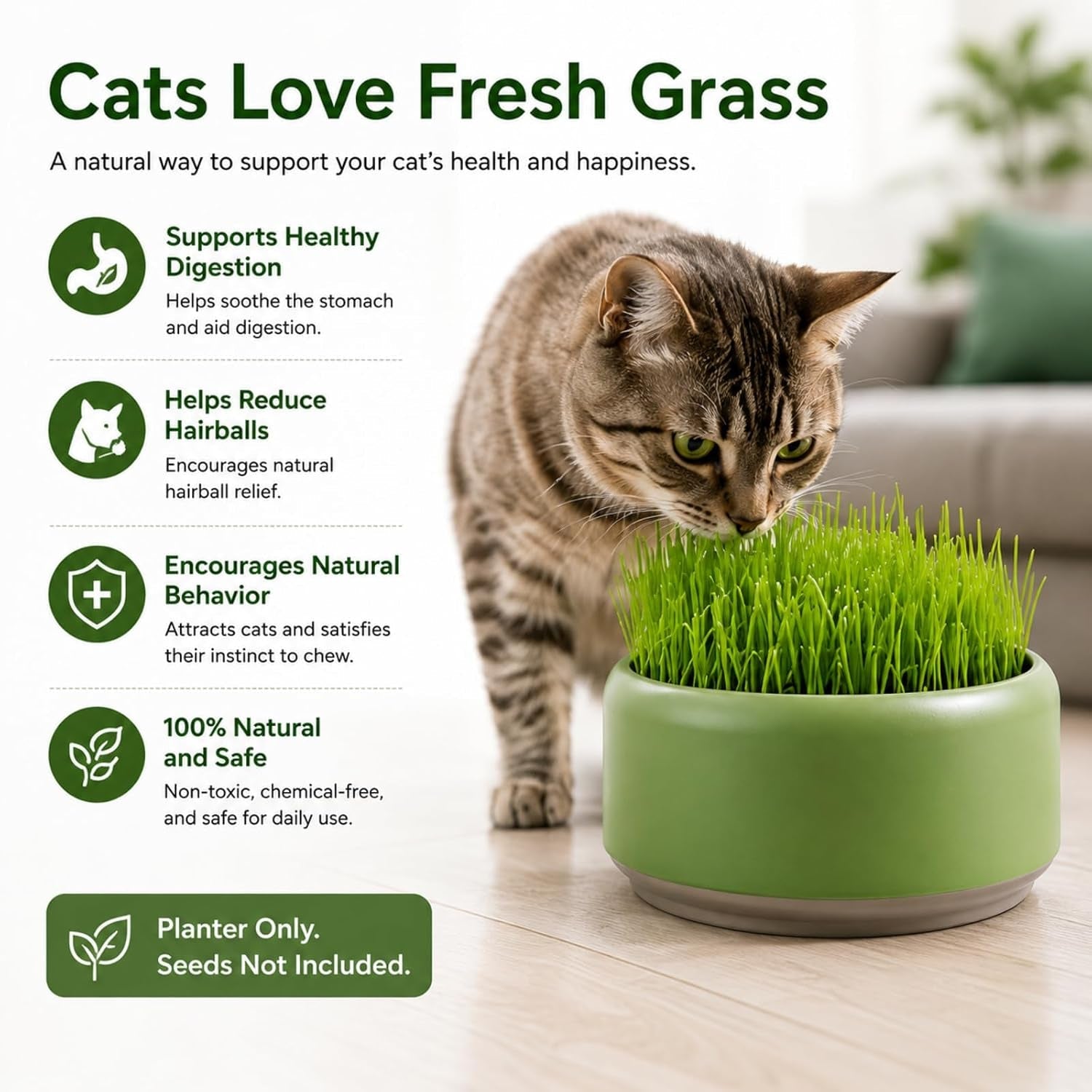 komorebi-cat-specific-reusable-hydroponic-herb-growing-box-set-easy-to-use-3-colour-seeds-not-included-green