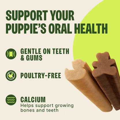 Wellness WHIMZEES Puppy Natural Dog Dental Treat, Chews, Freshens Breath, Extra-Small/Small Size, 7.9 Oz Bag, 30 Count4