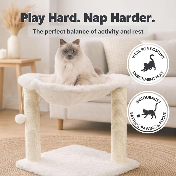TRIXIE Baza XXL Cat Scratching Posts, Indoor Cat Furniture with Plush Hammock, Jute Scratcher Posts and Dangling Toy Ball, 18.1" L X 18.1" W X 19.7" H, Cream5