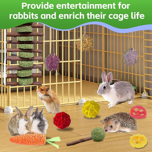 WDEFUN 21PCS Rabbit Chew Toys for Teeth Grinding, Natural Timothy Hay Cakes Treats for Bunny, Organic Apple Wood Sticks Toy Set for Guinea Pigs, Hamsters, Chinchillas,Dental Health & Boredom Relief4