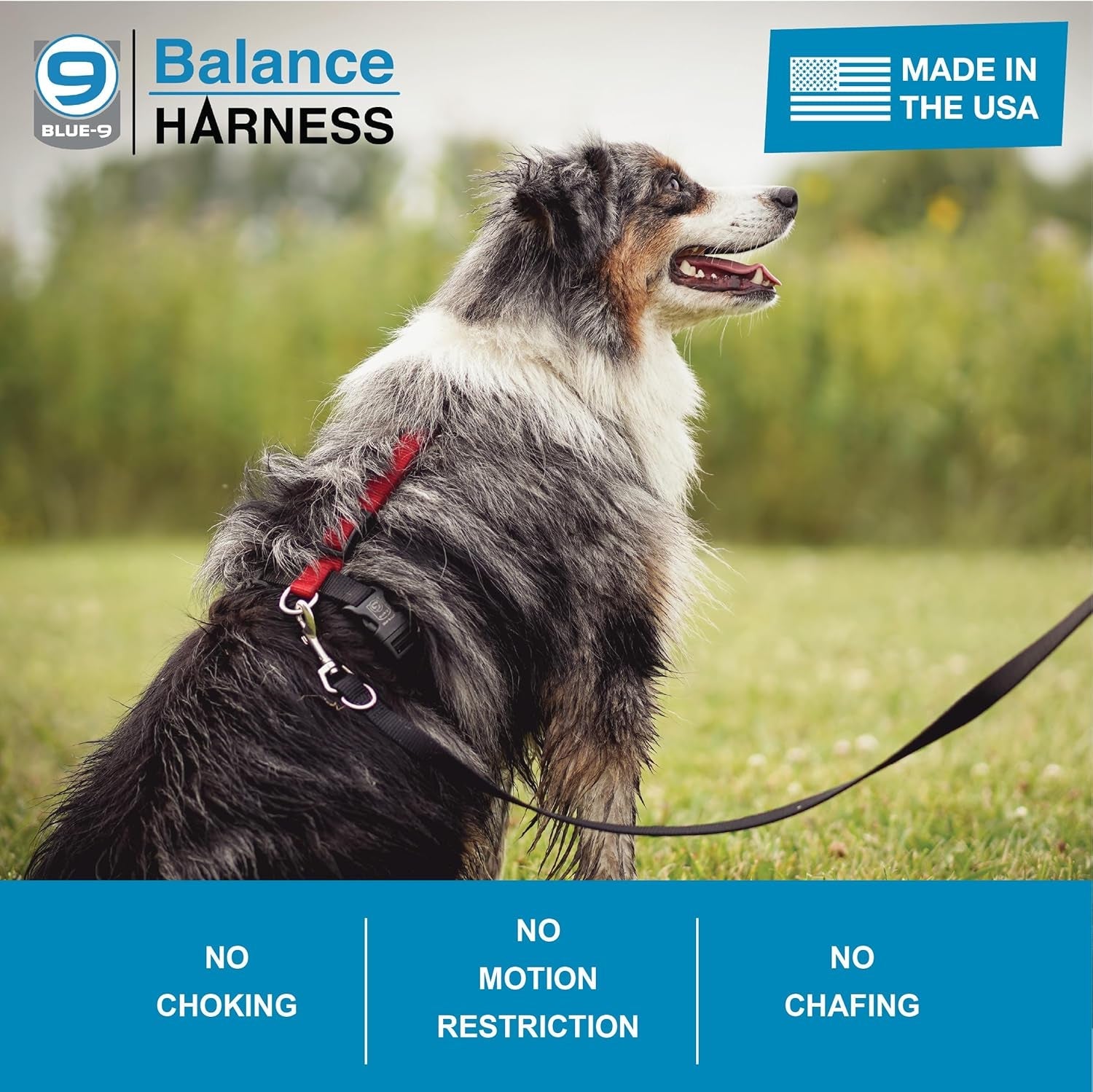 blue-9-buckle-neck-balance-harness-fully-customizable-fit-no-pull-harness-ideal-for-dog-training-and-obedience-made-in-the-usa-sky-blue-medium