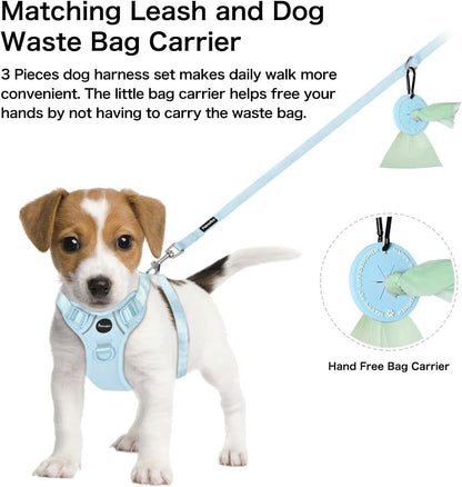 Petmolico No Pull Cute Dog Harness Reflective, Light Blue, Small | Set Includes Leash & Waste Bag Holder, 2 Clips & Handle, Soft Comfy Fit, Adjustable, Ideal for Daily Walks & Travel4