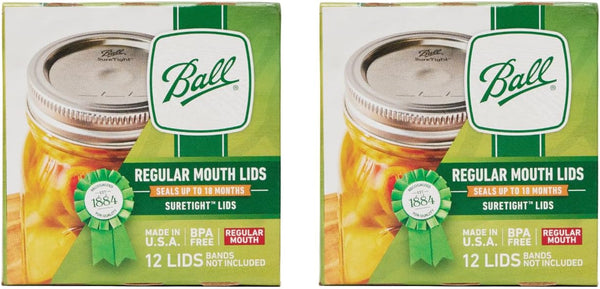 Regular Mouth Mason Glass Jar Lids (24-Count), Silver1