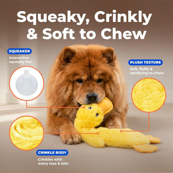 Best Pet Supplies Interactive Squeaky Dog Chew Toy, Ideal Dog Toys for Chewers, Small, Medium & Large Dogs, and Fetch Lovers - Crinkle Duck (Yellow), Large3