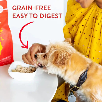 Stella & Chewy'S Freeze-Dried Raw Lil' Bites Itty Bitty Beef Recipe Small Breed Dog Food, 7 Oz. Bag (Beef)6