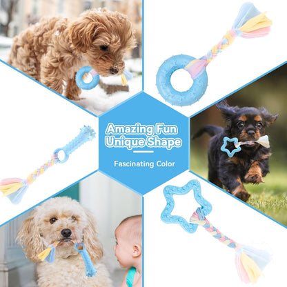 Petcare 6 Pack Puppy Chew Toys - Blue, Soft Rubber Rope & Bone Ball Teething Toys for Small Dogs & Puppies, Including Yorkie5