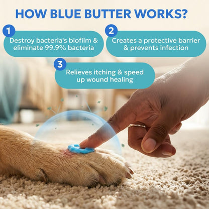 Blue Butter – Hot Spot Treatment for Dogs Cats | Dog Cat Wound Care | Skin Yeast Infections, Ringworm, Cuts, Rashes, First Aid Veterinary Strength anti Itch Cream 4Oz3