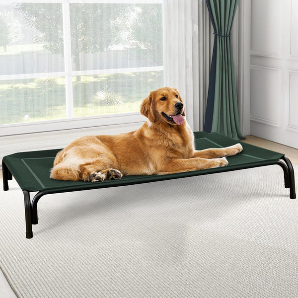 Czpalo Outdoor Elevated Dog Bed for Large Sized Dogs, No-Tool Assembly. | Raised Design Promotes Airflow. Tool-Free Assembly, Easy-To-Clean Mesh, Portable, with Anti-Skid Feet. Indoor/Outdoor Use.10