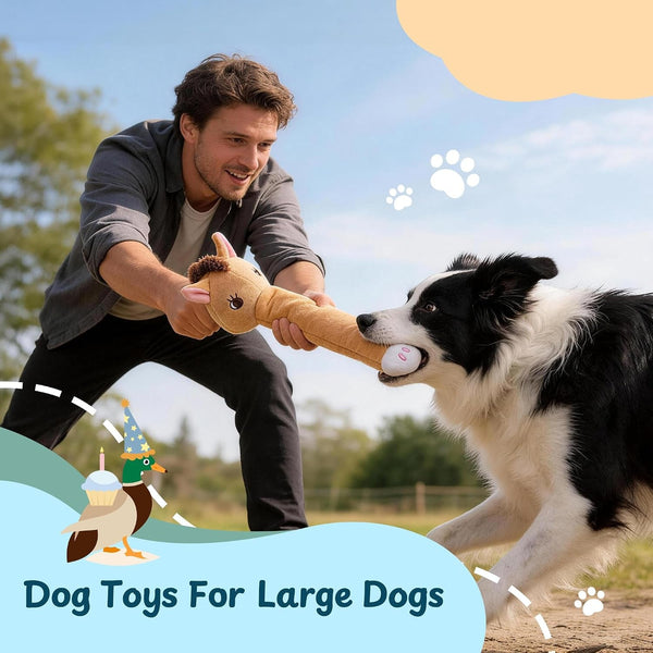 Nocciola Dog Squeak Toys 5Pcs, Dog Toys to Keep Them Busy for Aggressive Chewers, Hide and Seek Crinkle Dog Toy for Large Dogs, Long Face Wild Animals Playground Series5