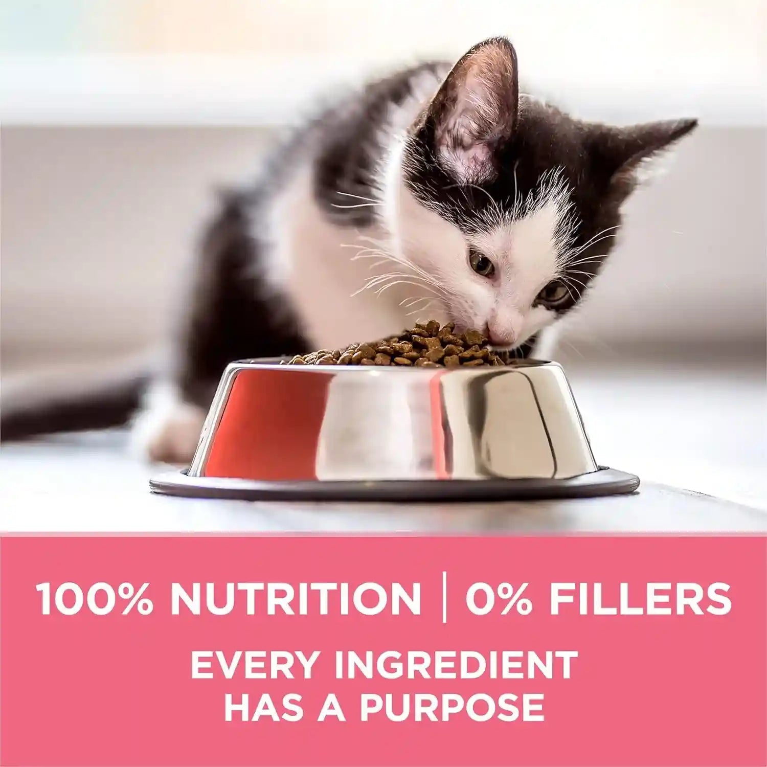 purina-one-high-protein-natural-dry-kitten-food-plus-healthy-kitten-formula-7-lb-bag