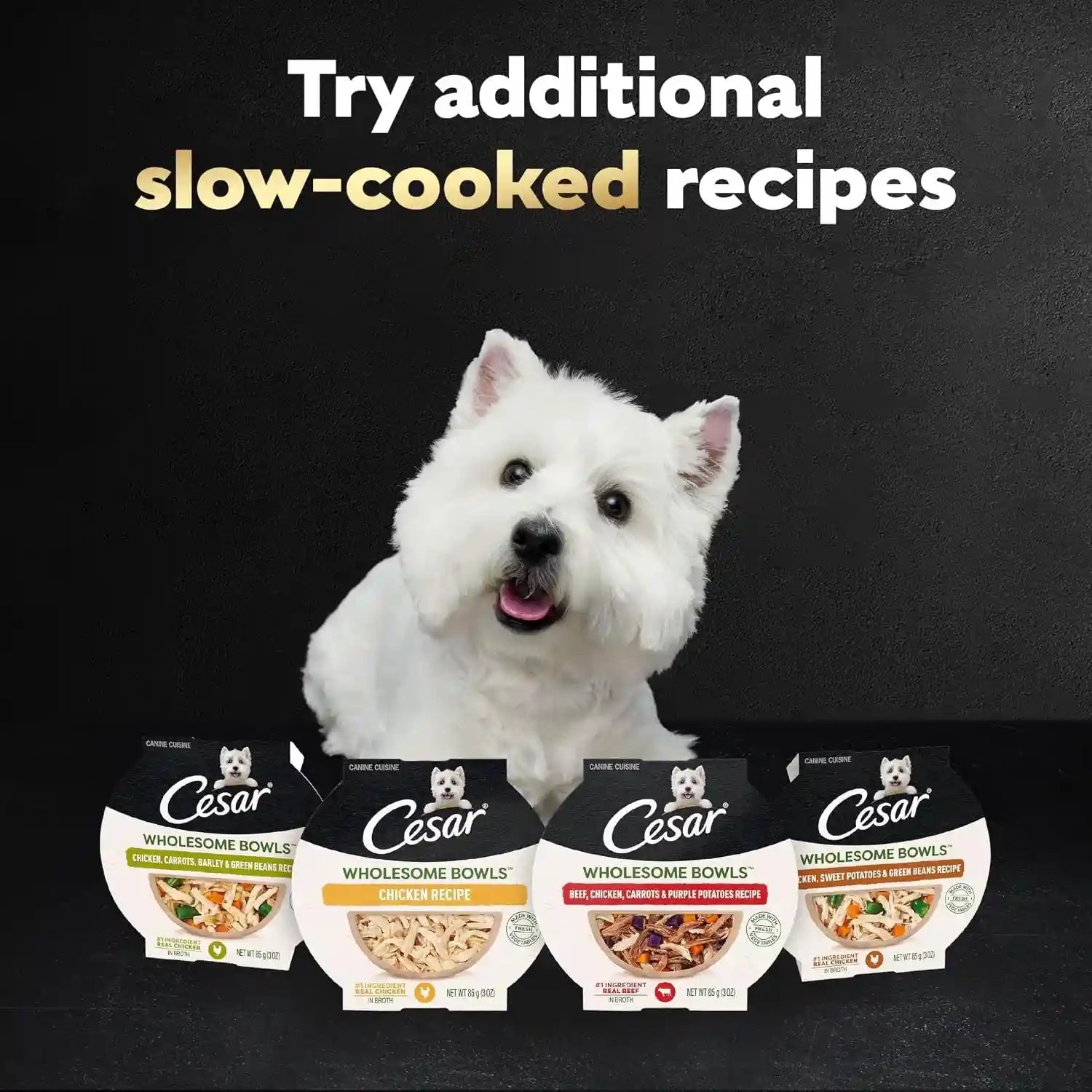 cesar-wholesome-bowls-wet-dog-food-chicken-recipe-3-oz-10-count-real-chicken-1-ingredient-slow-cooked-7-key-ingredients-no-by-products-or-artificial-flavors-easy-to-digest