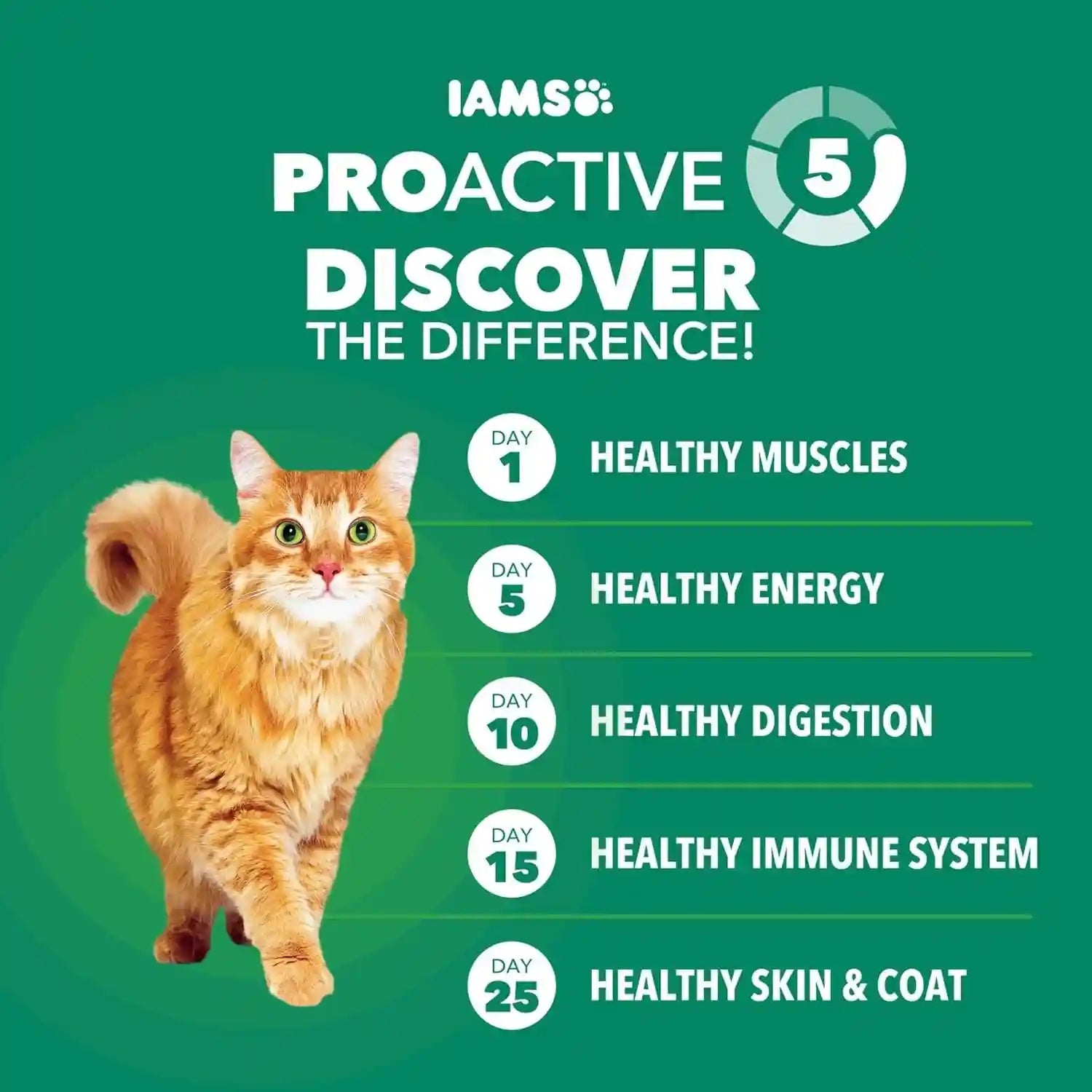 iams-proactive-health-healthy-senior-dry-cat-food-chicken-recipe-7-lb-real-chicken-antioxidants-for-immune-health-supports-vital-organs-bones-joints-natural-fiber-prebiotics-0-fillers