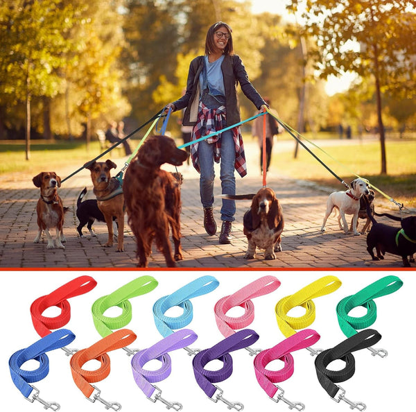 24 Pack Nylon Dog Training Leash Bulk 5 Ft Dog Leash for Small and Medium Puppy Traction Rope for Training, Play, Camping, or Backyard, 12 Assorted Colors(Vibrant Colors)6