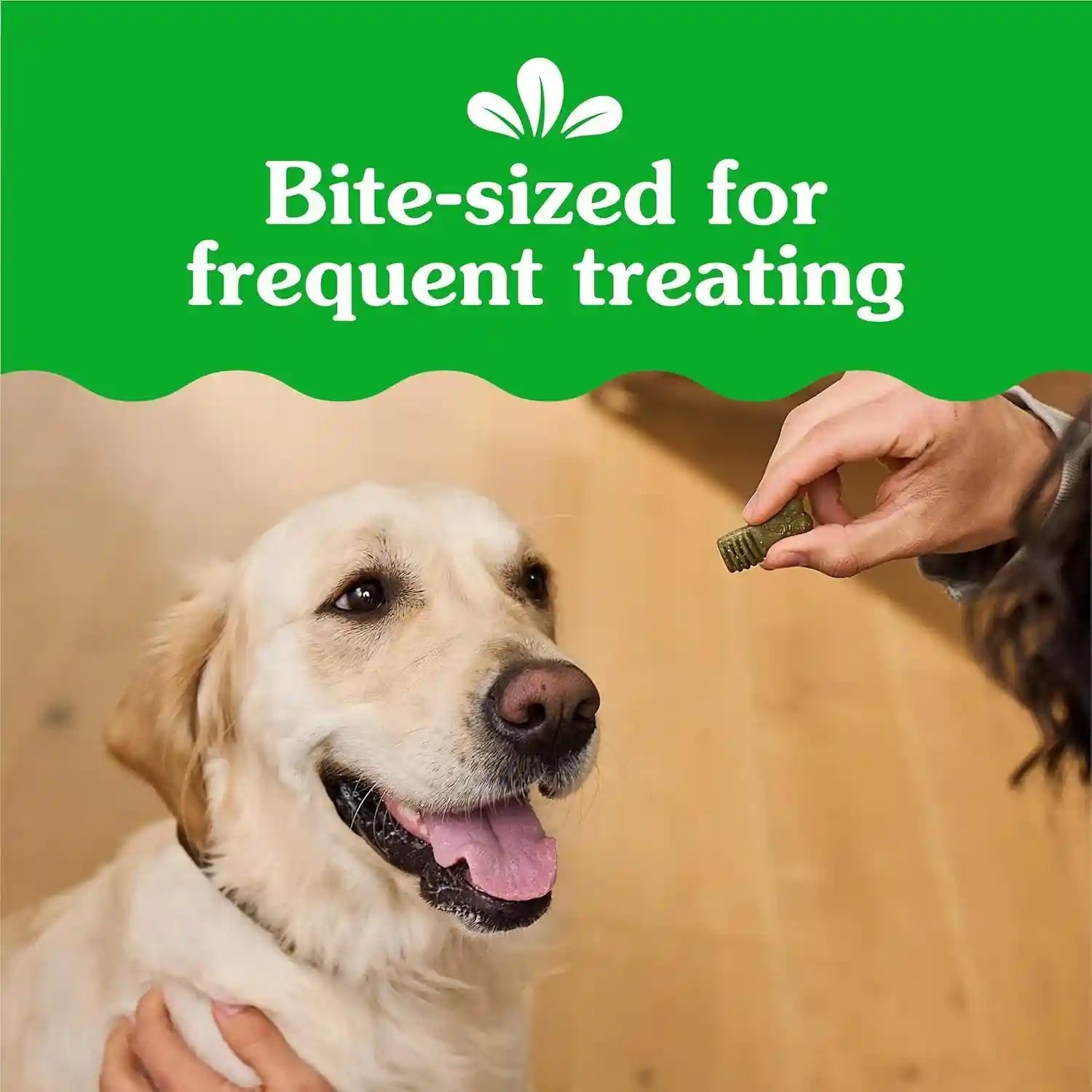 greenies-anytime-bites-dog-treats-blueberry-flavor-10-3-oz-only-13-calories-per-treat-easy-to-digest-natural-ingredients-plus-vitamins-minerals-made-in-usa-facilities