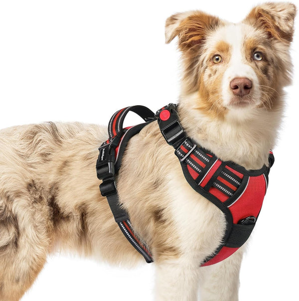 Rabbitgoo Dog Harness Medium Sized, Updated Easy on & off with 3 Buckles | No Pull No Choke, Walking with 2 Clips and Handle, Adjustable Soft Reflective, Blue, Medium38