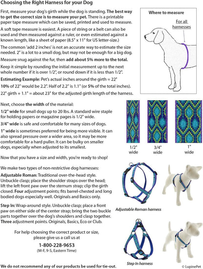 Lupinepet Originals 3/4" Turtle Reef 20-32" Adjustable Roman Dog Harness for Medium Dogs2