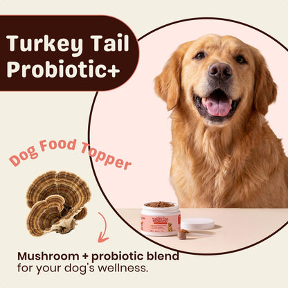 Turkey Tail Mushroom for Dogs – Turkey Tail Mushroom Powder with Probiotics for Immune and Digestive Support, Supports Lumps and Bumps, Bacon Flavored Daily Dog Supplement2