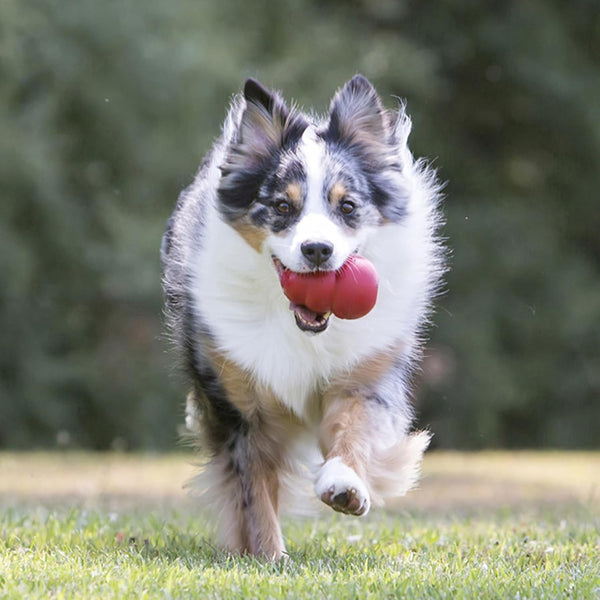 KONG Classic Stuffable Dog Toy - Fetch & Chew Toy for Dogs - Treat-Filling Capabilities & Erratic Bounce for Extended Play Time - Durable Natural Rubber Material - for Large Dogs3