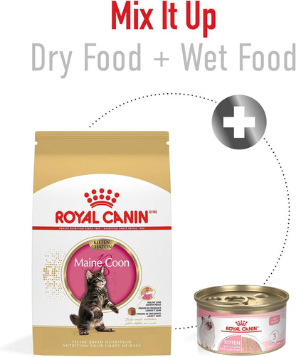 ROYAL CANIN Feline Breed Nutrition Maine Coon Kitten Dry Cat Food, 3 Lb Bag4