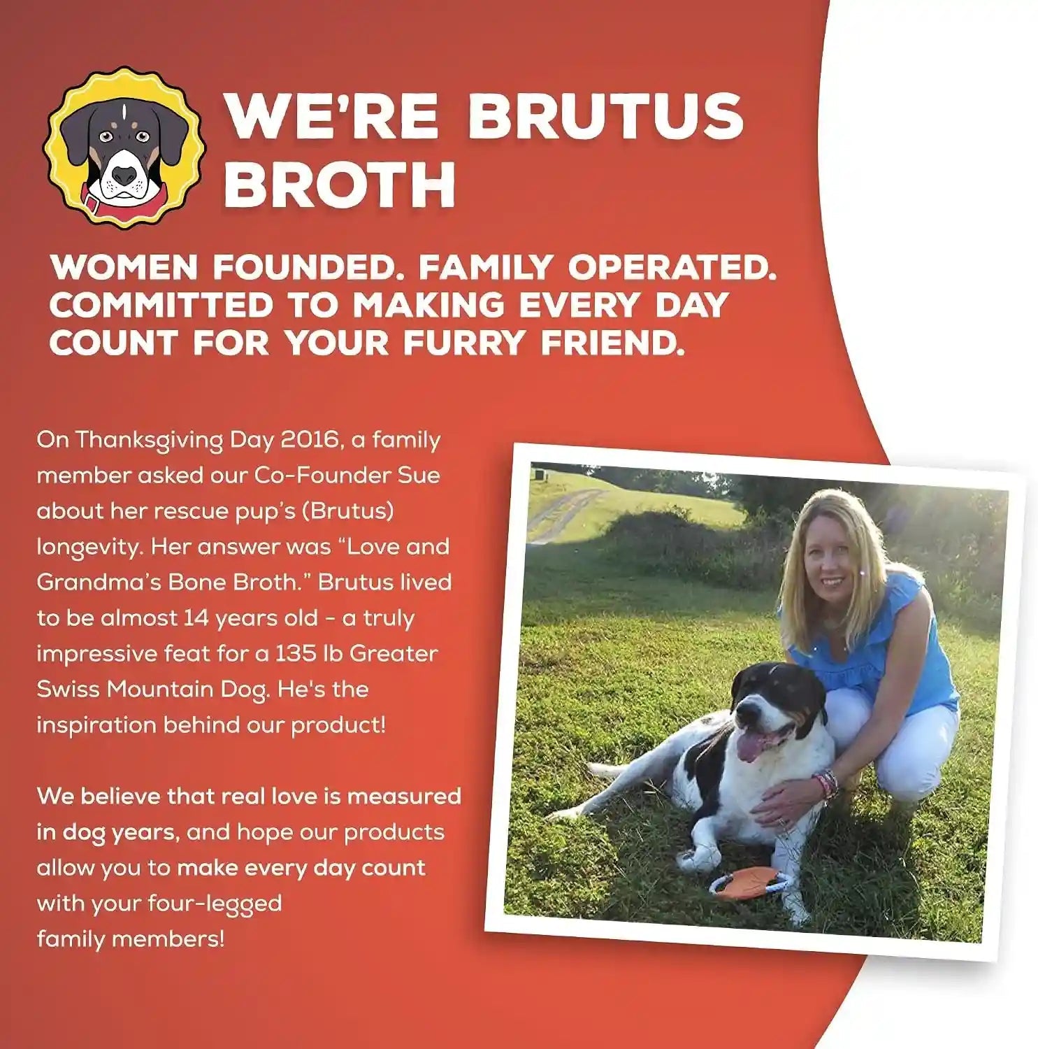 brutus-beef-bone-broth-for-dogs-all-natural-dog-bone-broth-with-liquidchondroitin-glucosamine-turmeric-human-grade-dog-food-toppers-for-picky-eaters-tasty-nutritious-16-9oz-pack-of-6