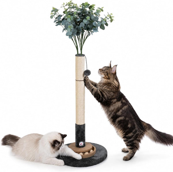 35 Inch Cat Scratching Post, Eucalyptus Sisal Rope Cat Tree Tower with Hanging Ball & Interactive Mouse Toy, Durable Scratcher for Indoor Adult Cats8
