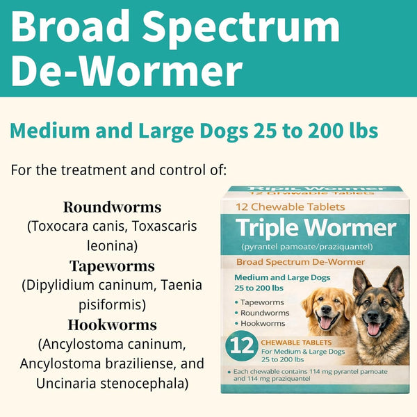 Pyrantel Pamoate and Praziquantel De-Wormer Tablet for Medium and Large Dogs, Chewable Formula2