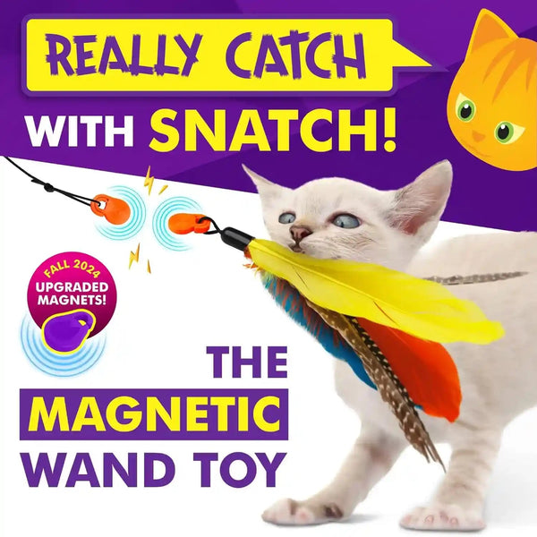 Cat Amazing Snatch - Magnetic Cat Wand Toy! Telescoping, Durable Feather Toy for Cats - Fishing Pole & Teaser Wand String Stick - Cats Can Really Catch!2