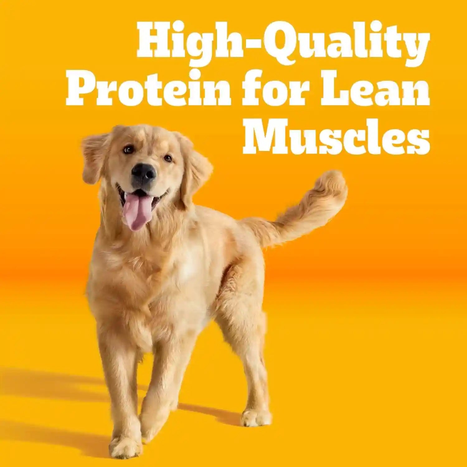 pedigree-high-protein-adult-dry-dog-food-beef-and-lamb-18-lb-real-red-meat-25-more-protein-36-vitamins-minerals-prebiotic-fiber-omega-6-zinc-100-complete-balanced