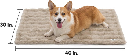 Paw Inspired Waterproof Dog Blanket, 40X30 Inch Size, Beige | Soft Faux Fur Throw, Fur-Resistant Fleece, Washable Pet Blanket, Waterproof Protection for Couch, Bed, Furniture, Crate, Car4