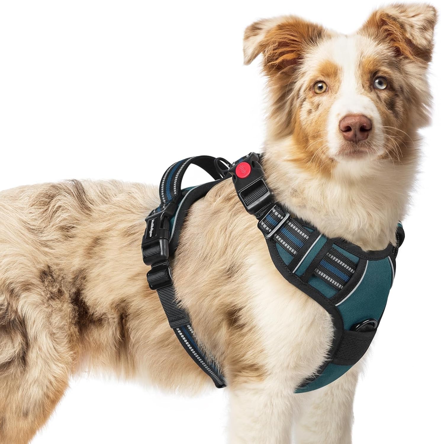 rabbitgoo-dog-harness-medium-sized-updated-easy-on-off-with-3-buckles-no-pull-no-choke-walking-with-2-clips-and-handle-adjustable-soft-reflective-blue-medium