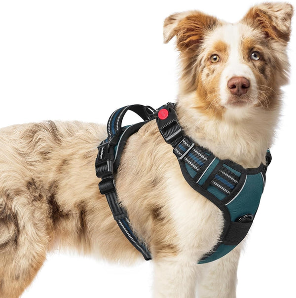 Rabbitgoo Dog Harness Medium Sized, Updated Easy on & off with 3 Buckles | No Pull No Choke, Walking with 2 Clips and Handle, Adjustable Soft Reflective, Blue, Medium76