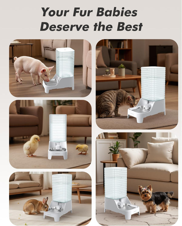Automatic Dog Water Bowl Dispenser with Patented Faucet - 8L Large Gravity Cat Water Dispenser with Filter & Adjustable Base, Wide Mouth for Easy Clean, Bpa-Free, Stainless Steel Pet Waterer for Pets9