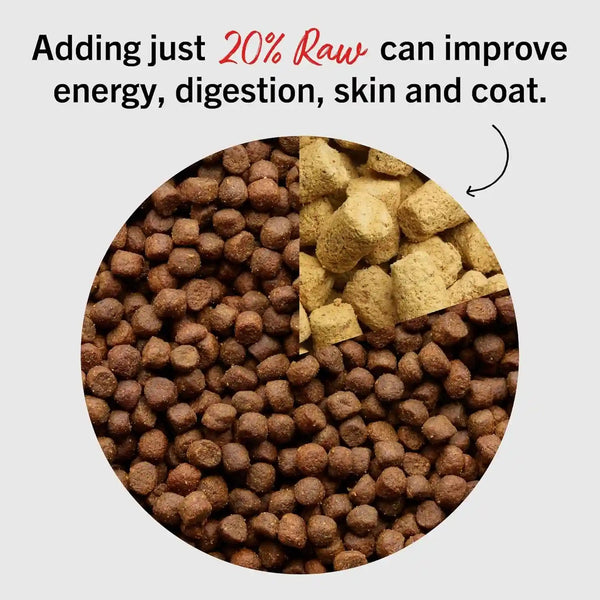 Stella & Chewy'S Freeze Dried Raw Meal Mixers – Crafted for Puppies – Grain Free, Protein Rich Perfectly Puppy Beef & Salmon Recipe – 3.5 Oz Bag5