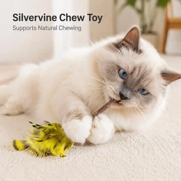 Silvervine Feather Cat Toys, 3 Pack Natural Matatabi Chew Toys for Indoor Cats, 8" Handmade Cat Toy for Chewing & Independent Play, Quiet Indoor Floor Play6