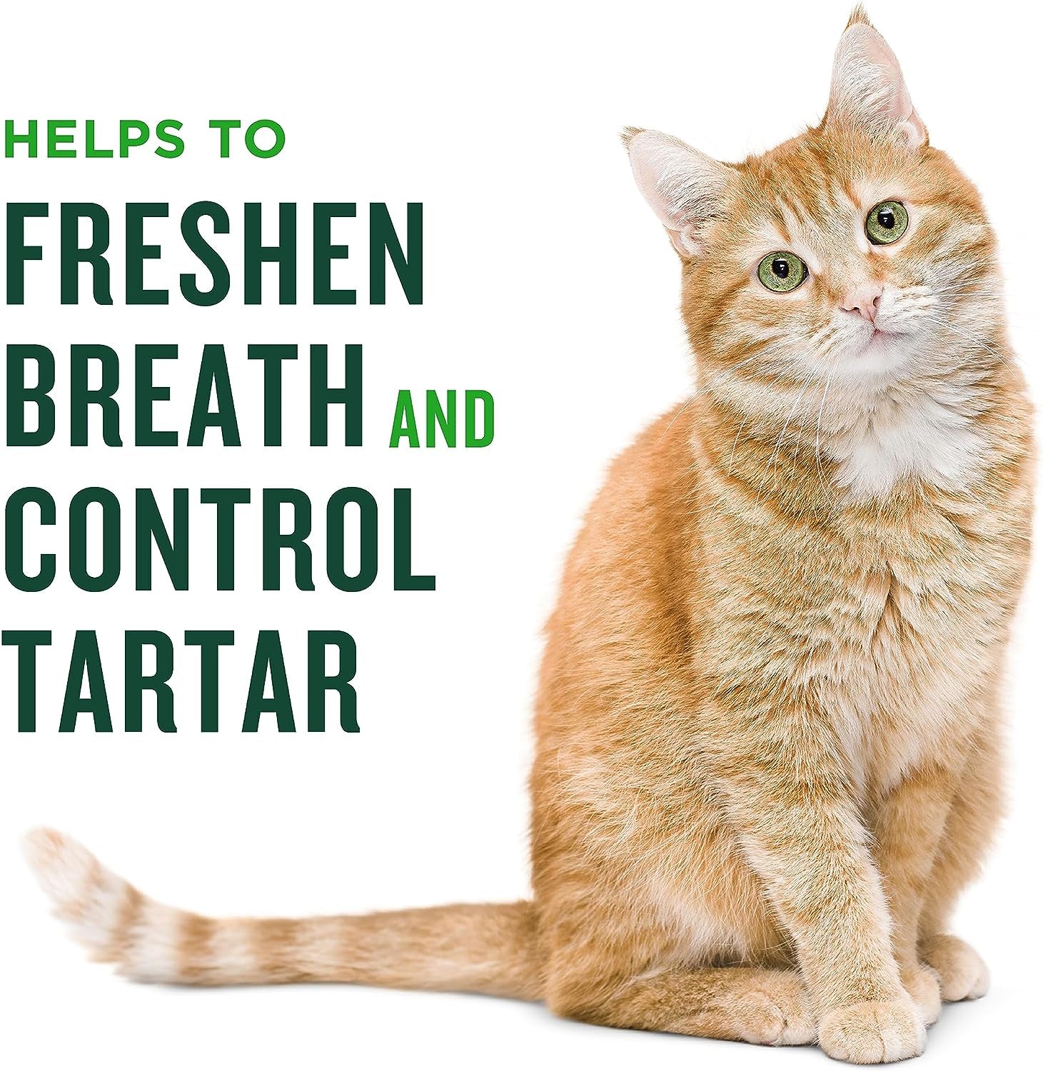 minties-dental-treats-for-cats-salmon-flavored-treats-for-cats-freshens-breath-and-controls-tartar-2-5oz