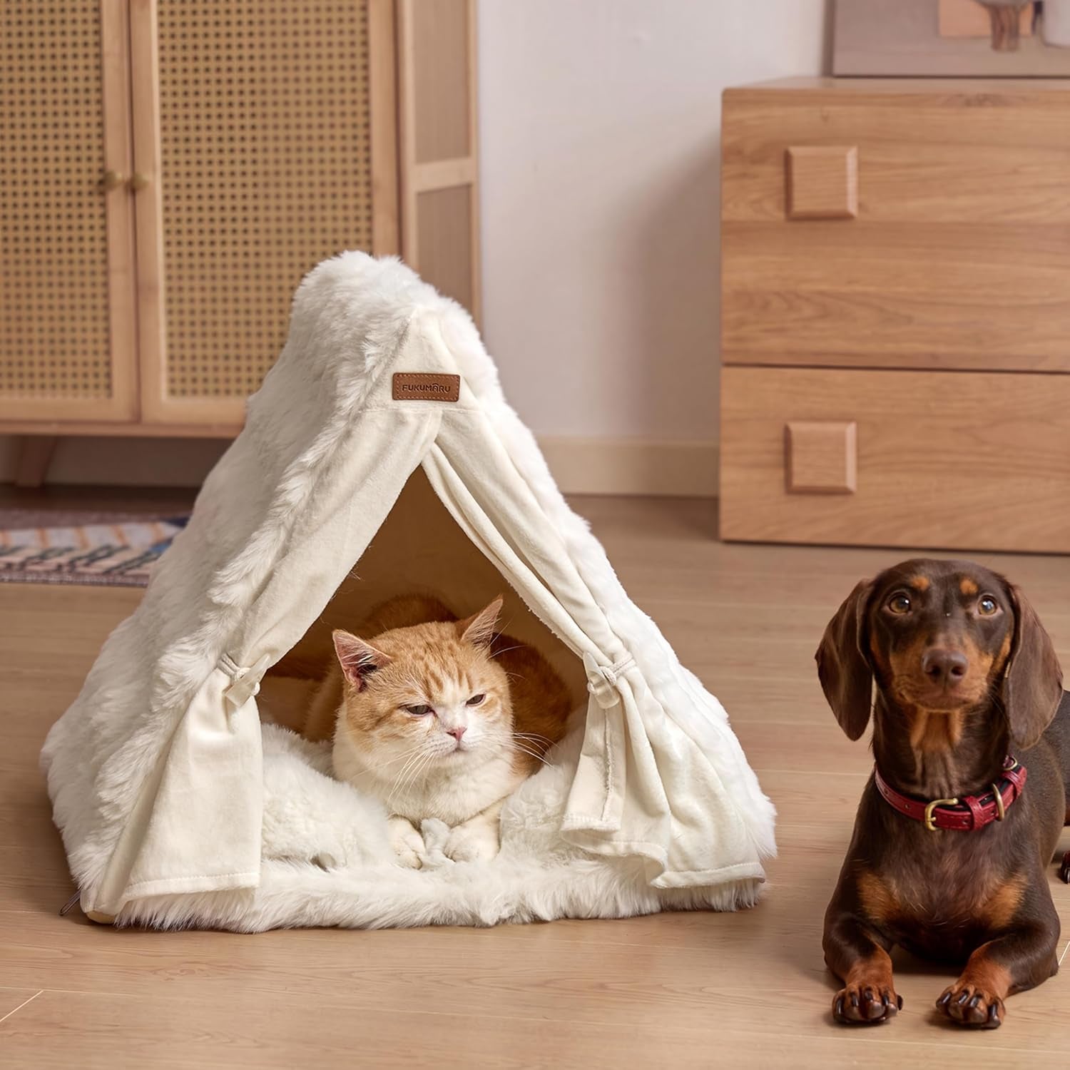 fukumaru-cat-cave-bed-sturdy-frame-washable-cat-tent-bed-with-curtain-semi-enclosed-cat-hideaway-for-anxious-cats-large-cozy-cat-house-for-indoor-cats-soft-plush-covered-dog-bed-cream