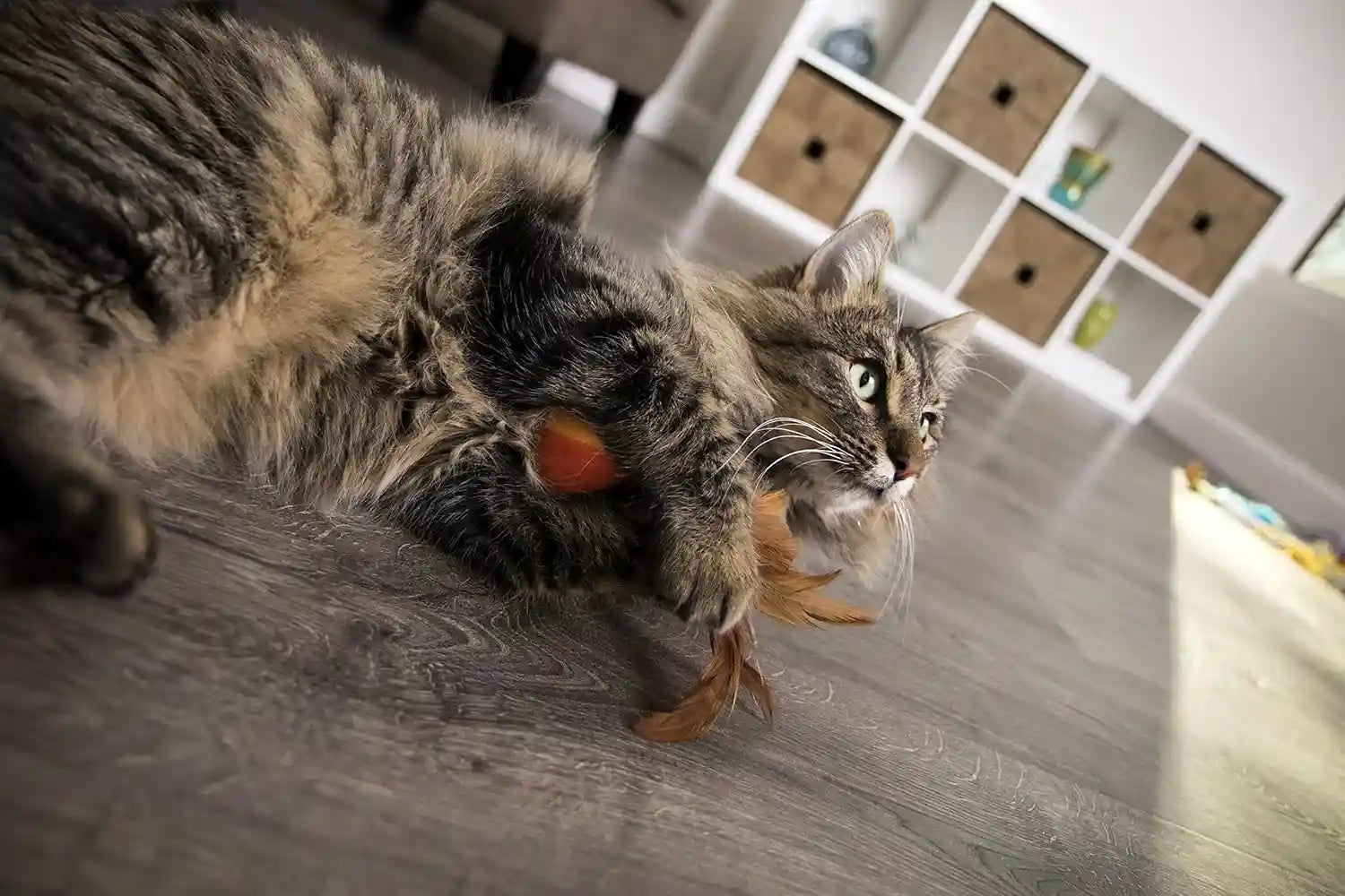 smartykat-flutter-balls-catnip-plush-and-feather-cat-toys-erratic-motion-for-batting-pouncing-fun-for-cats-kittens-set-of-2