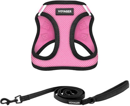 Best Pet Supplies Voyager Step-In Air All Weather Mesh Harness and Reflective Dog 5Ft Leash Combo with Neoprene Handle, for Small, Medium and Large Breed Puppies - Baby Blue, Small23