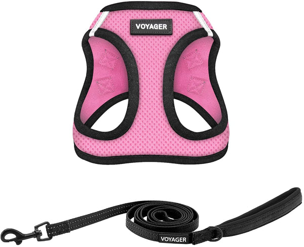 Best Pet Supplies Voyager Step-In Air All Weather Mesh Harness and Reflective Dog 5Ft Leash Combo with Neoprene Handle, for Small, Medium and Large Breed Puppies - Baby Blue, Small23