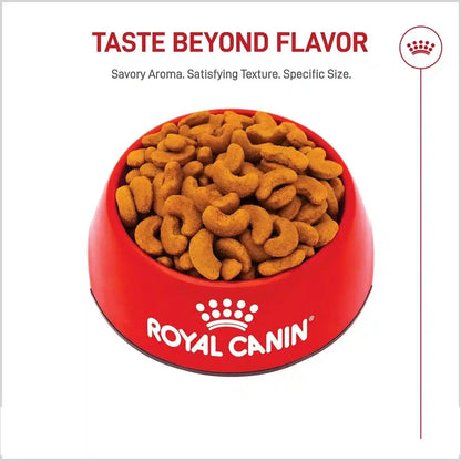 ROYAL CANIN Breed Health Nutrition French Bulldog Adult Dry Dog Food, 6 Lb Bag | Tailored Nutrition for Purebred Dogs, Specialized Kibble Shape, Supports Muscle Tone, 6 Pound Resealable Bag8