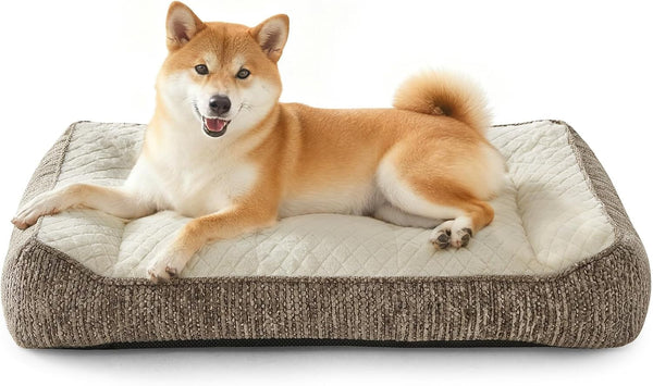 JOEJOY XL Orthopedic Dog Bed for Large Dogs, Extra Thick Foam Pet Bed Sofa | Bolster Sides, Large Sized Dog Couch Bed with Removable Washable Cover, Non-Slip Bottom, Grey (42"X30")22