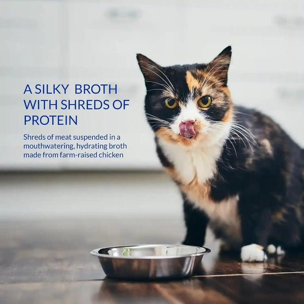 INABA Churu Broth for Cats, Side Dish Pouch, 1.4 Ounces per Pouch, 12 Pouches, Chicken & Seafood Variety6