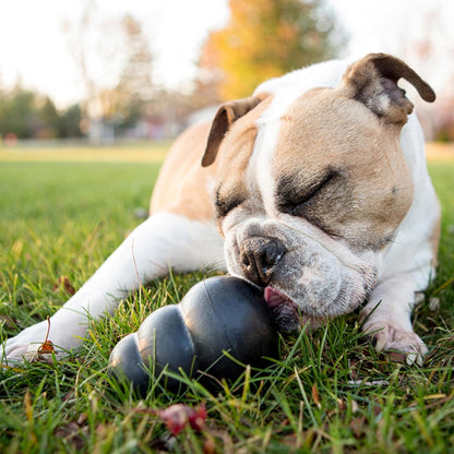 KONG Extreme Dog Toy - Fetch & Chew Toy - Treat-Filling Capabilities & Erratic Bounce for Extended Play Time Most Durable Natural Rubber Material - for Power Chewers - for Large Dogs2