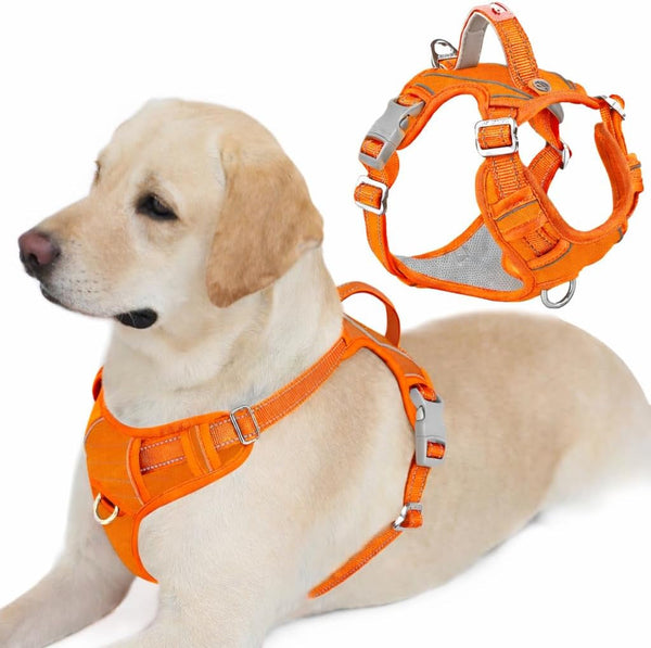 BARKBAY Dog Harness No Pull with ID Tag Pocket - Heavy Duty, Reflective, Easy Control for Large Dogs(Blue,L)46
