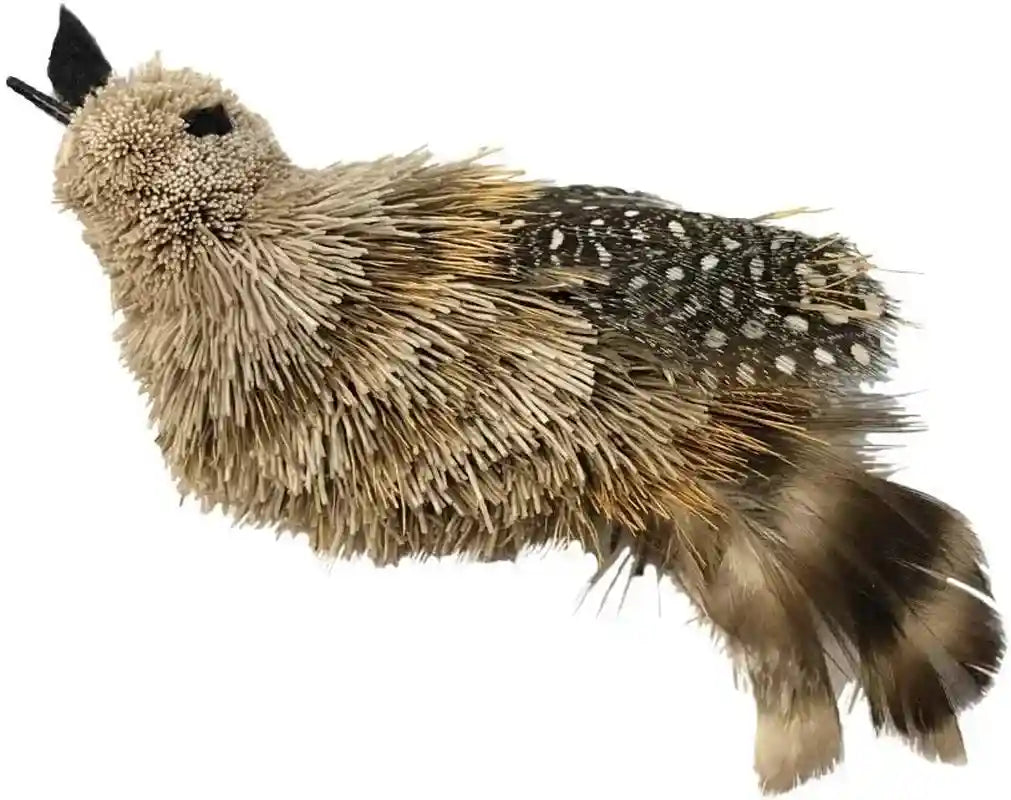 gocat-da-birdie