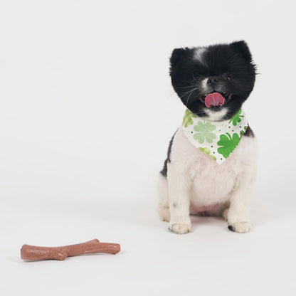 SPOT Bam-Bones plus Branch -Bamboo Fiber & Nylon, Durable Long Lasting Dog Chew for Aggressive Chewers – Great Toy for Adult Dogs & Teething Puppies under 60Lbs, Non-Splintering, 5.75In, Beef Flavor13