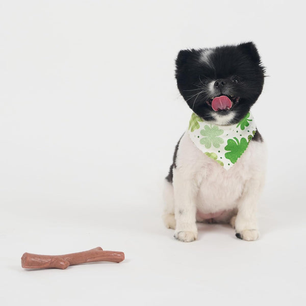 SPOT Bam-Bones plus Branch -Bamboo Fiber & Nylon, Durable Long Lasting Dog Chew for Aggressive Chewers – Great Toy for Adult Dogs & Teething Puppies under 60Lbs, Non-Splintering, 5.75In, Beef Flavor13