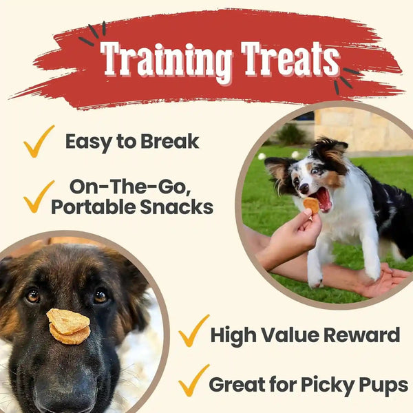 Farm to Pet - Dog Training Treats - Chicken Chips, Single Ingredient - 12 Oz, Lean, All Natural, Healthy Dog Treats for Small, Medium, Large Breeds, & Puppies, Made in USA3