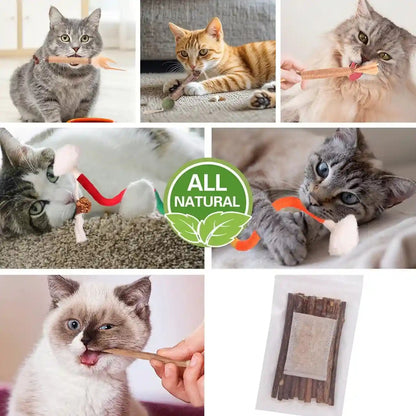 Kyouki Cat Toys Cat Chew Toys, Silvervine Sticks Catnip Rope Toys for Cats Teeth Cleaning, Kitten Dental Care, Kitty for Indoor Cats Increase Appetite,Enhances Oral & Dental Health (21 Pack)3
